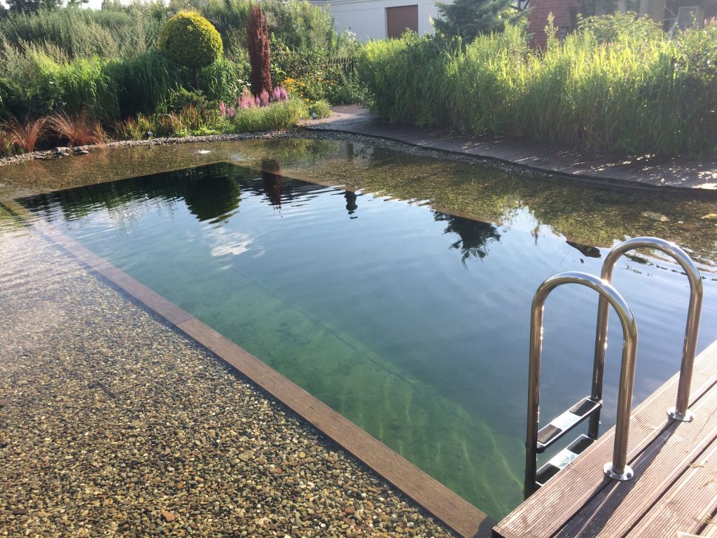 Stawy kąpielowe - ekologiczna alternatywa basenu