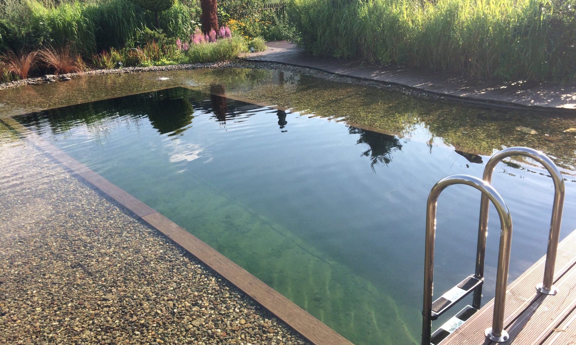 Staw kąpielowy - ekologiczna alternatywa basenu
